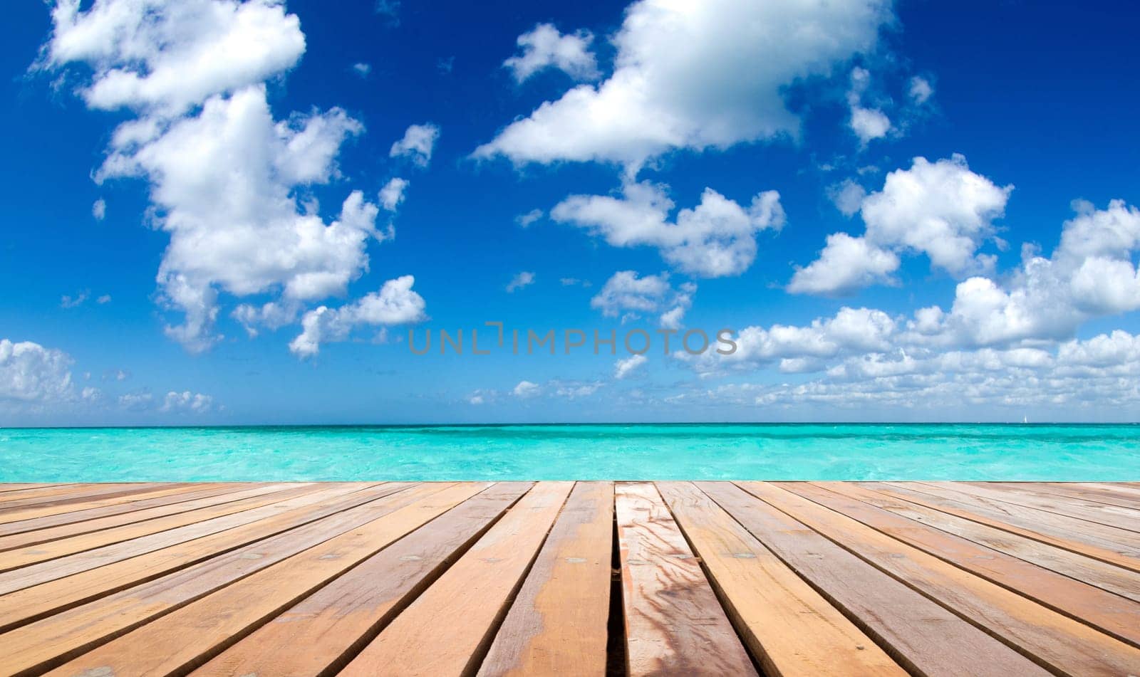tropical sea under the blue sky