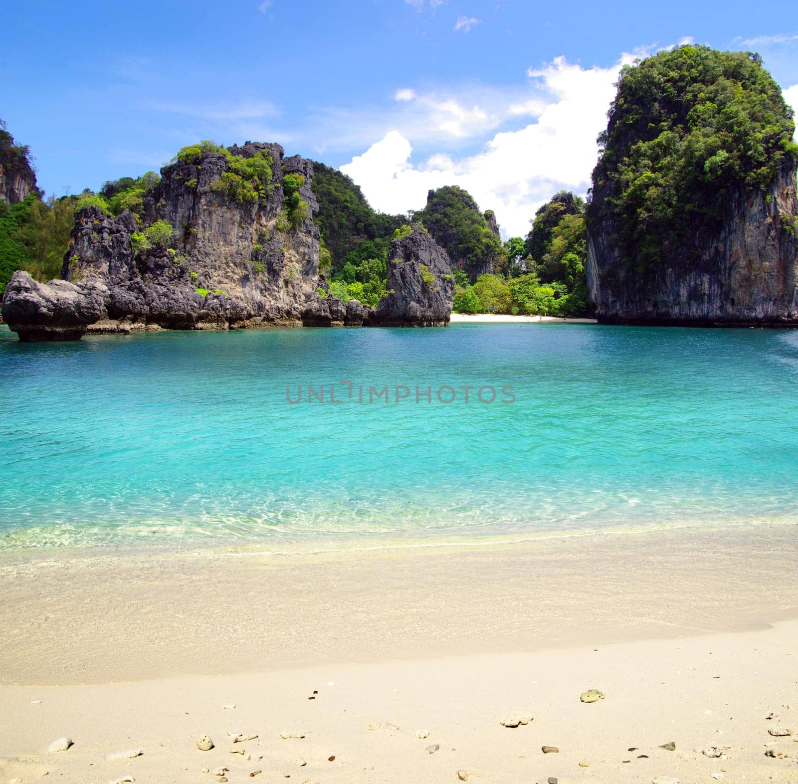 beautiful beach and tropical sea
