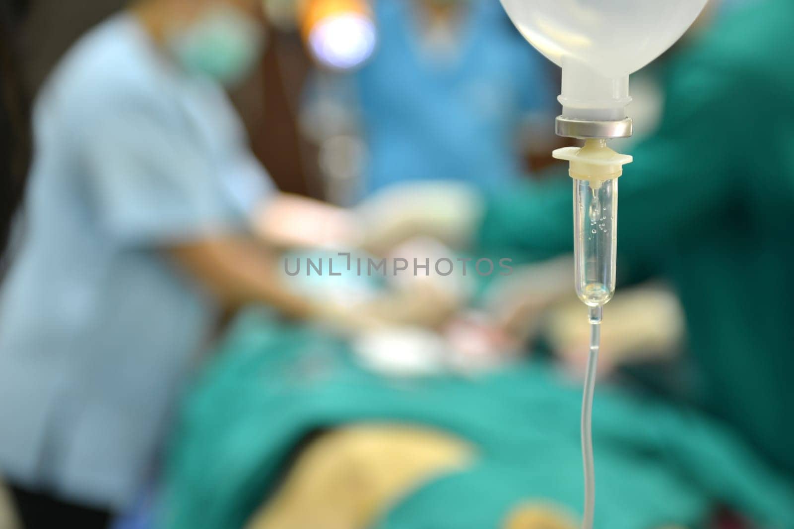 Veterinarian performing an operation on a lion in the operating room