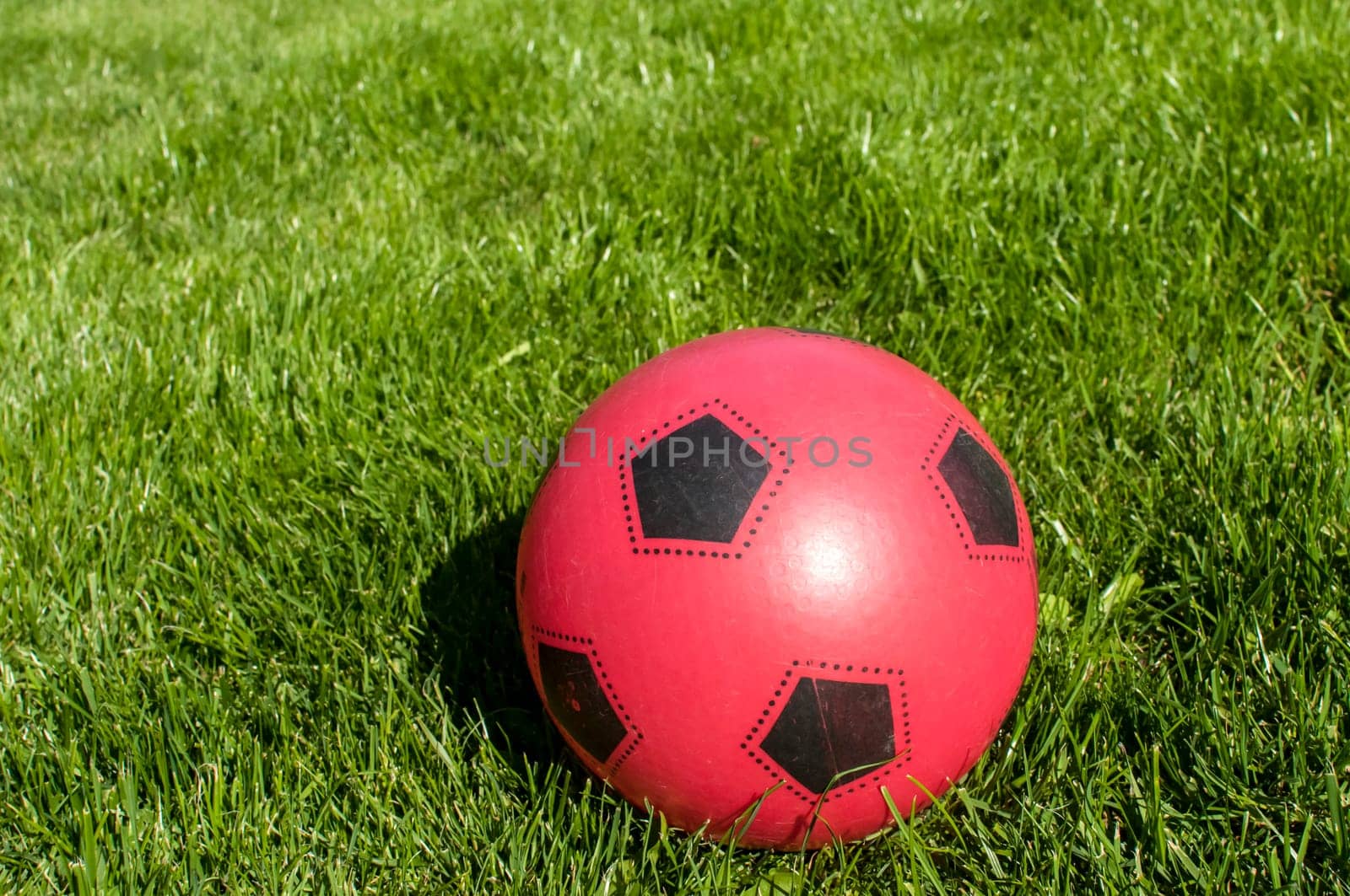 Red rubber child ball on green grass background