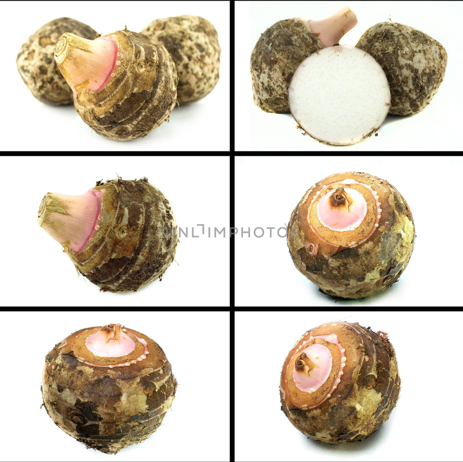 Healthy and organic food, Set of fresh  taro root or colocasia.