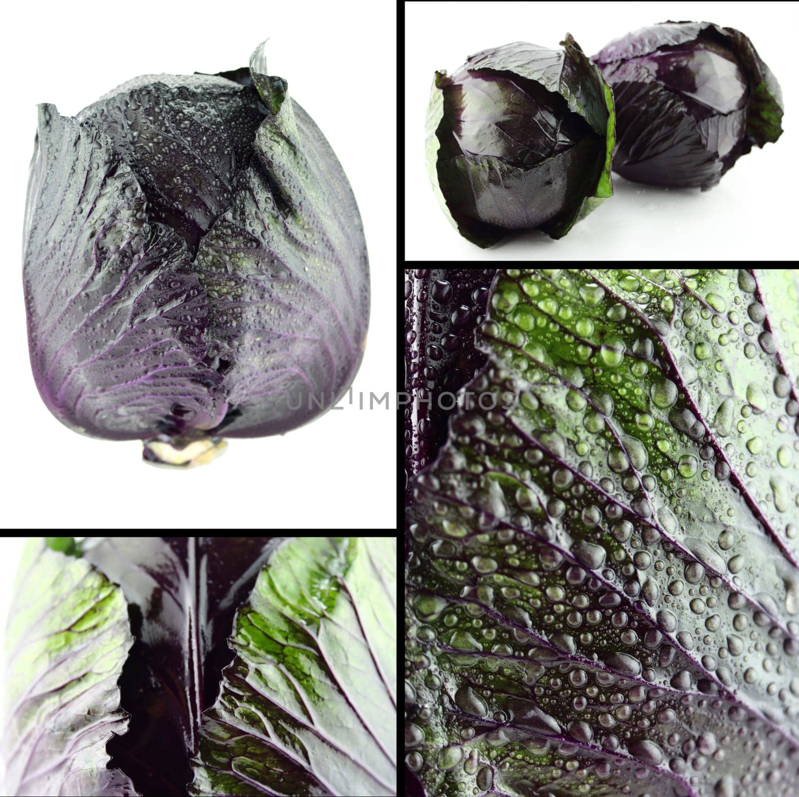 Healthy and organic food, Set of fresh  red cabbage.