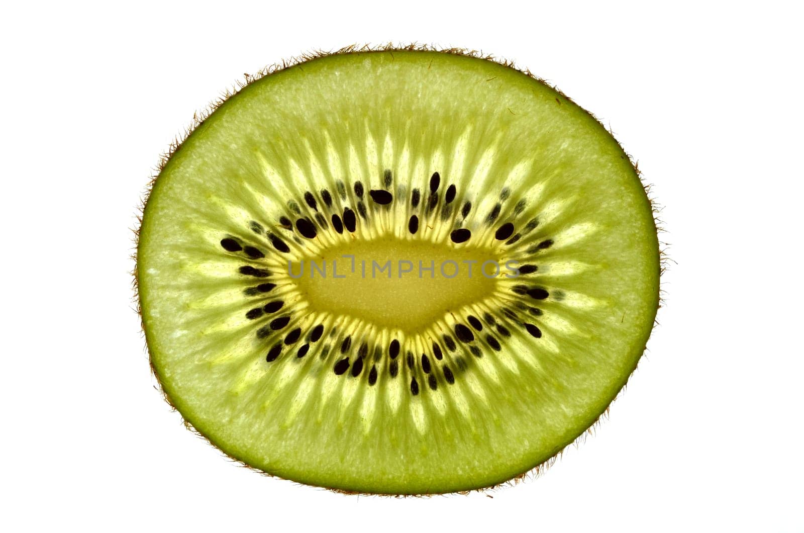 One slim kiwi slice on a white background