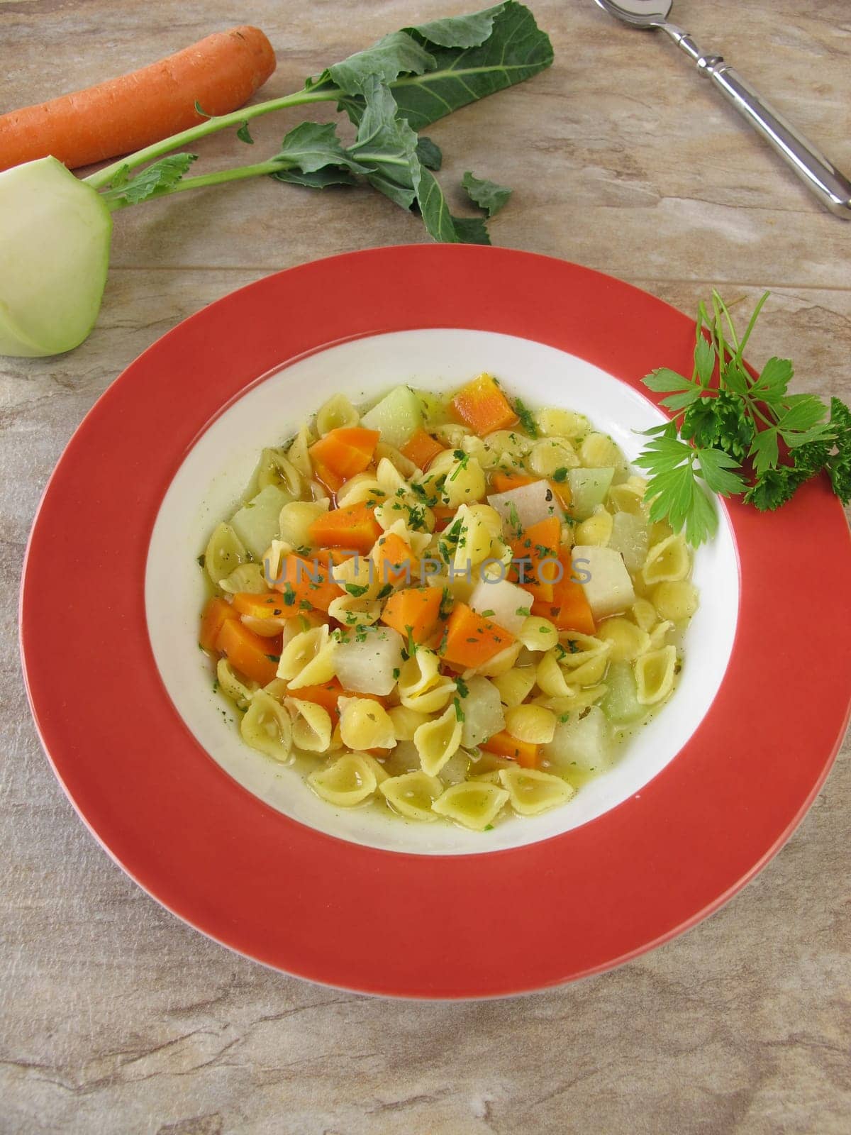 Vegetarian noodle soup