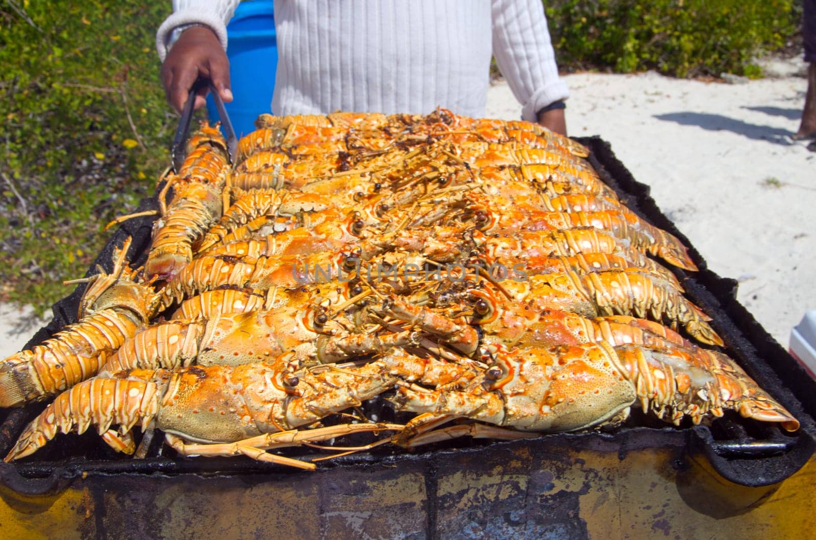 Lobster on the grill