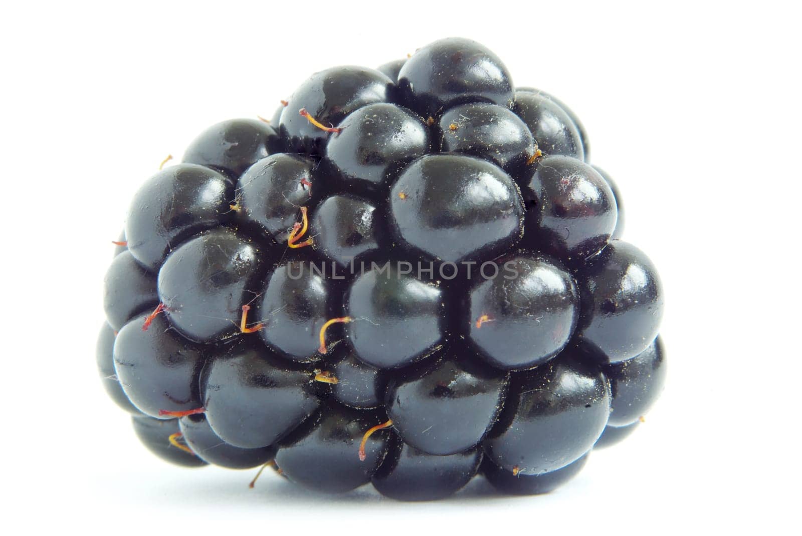 blackberry isolated on white background