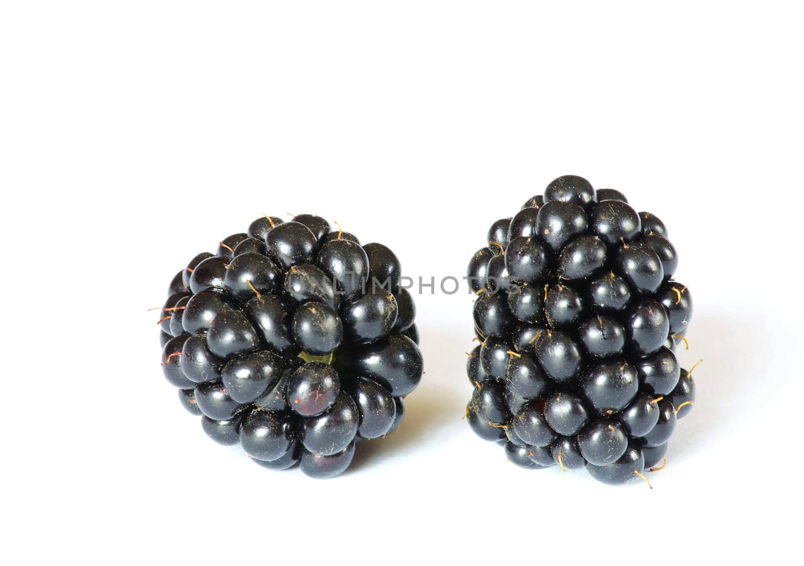 two of blackberries isolated on white background.