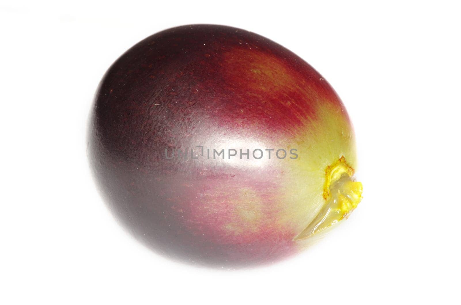 Close up of a red grape isolated on white background