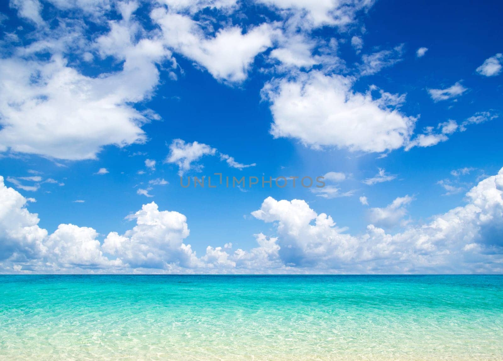 beautiful beach and tropical sea
