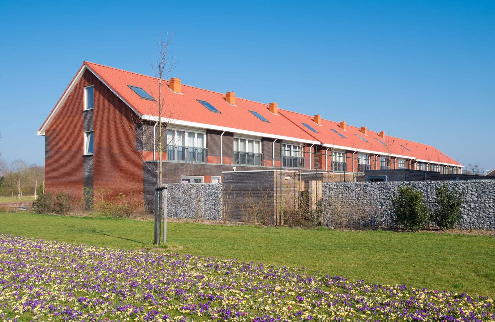 block of new terraced houses in the netherlands
