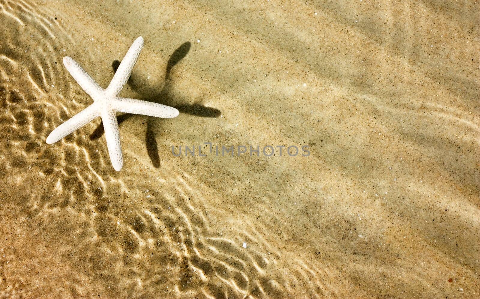 Starfish and waves on summer sunny beach