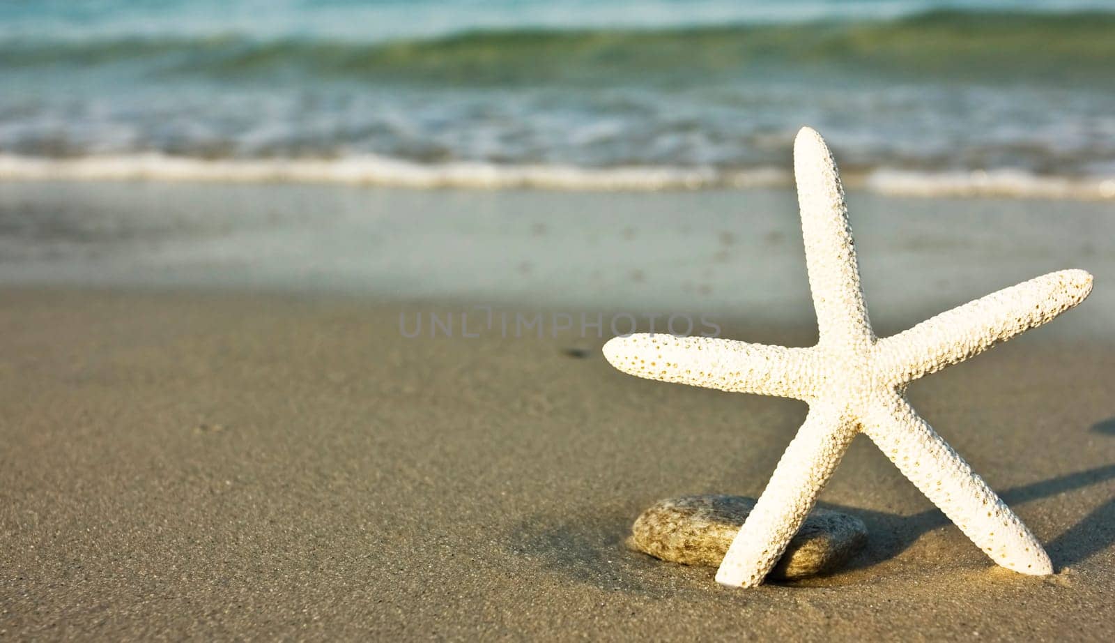 Starfish and waves on summer sunny beach