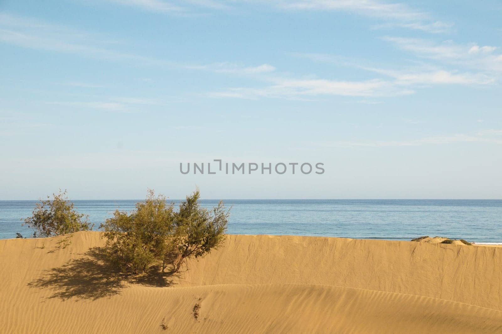 African European Sand Dune Desert Landscape in Gran Canaria Island Spain