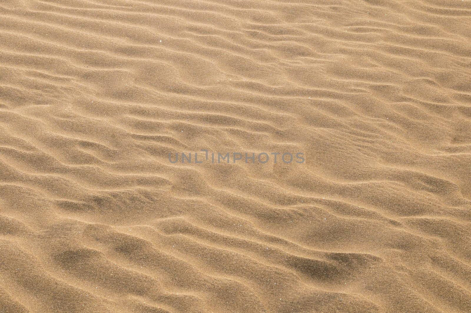 Texture Sand Dune Desert in Gran Canaria Island Spain