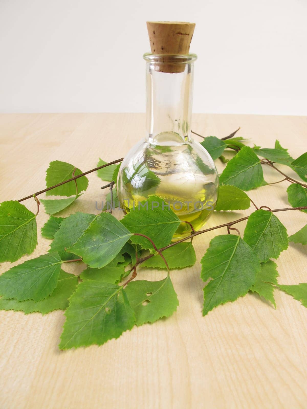 Birch oil