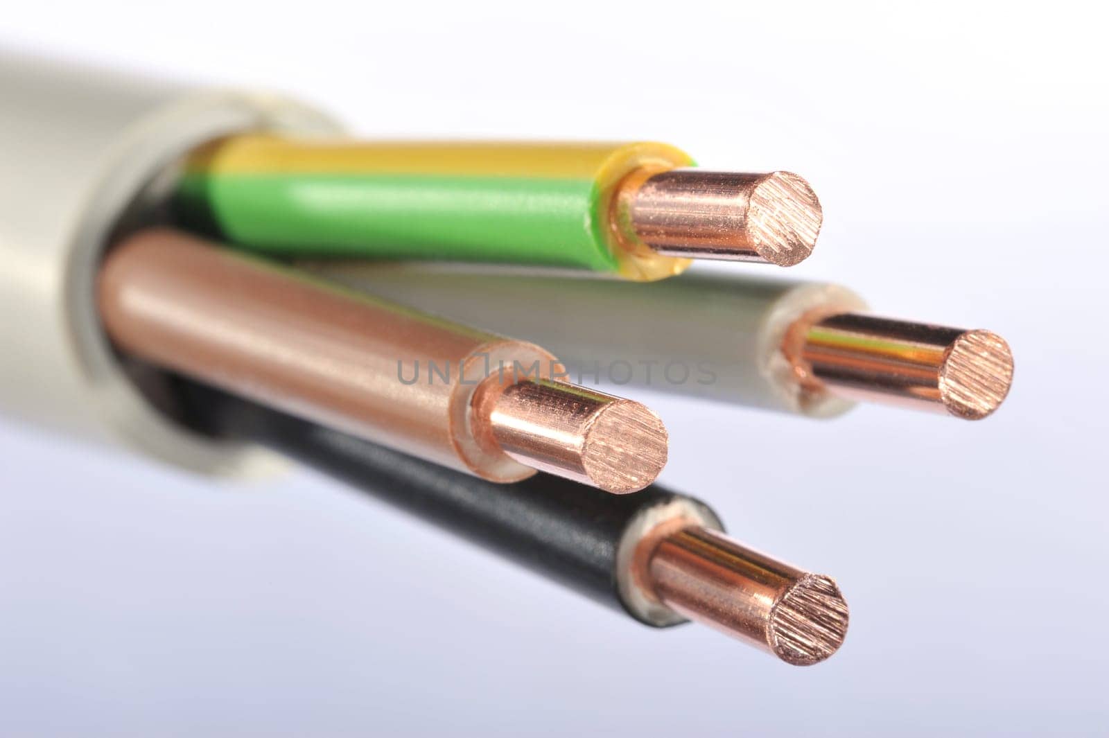 Macro detail of a stripped power cable