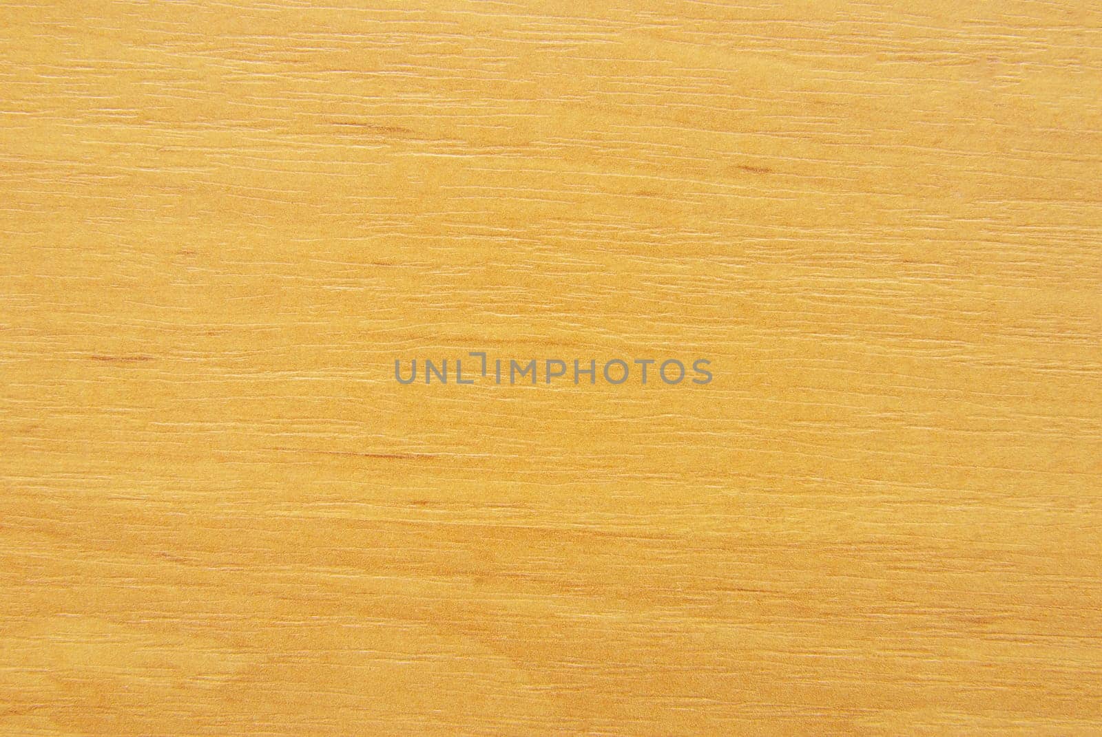 Texture of  wood to serve as background