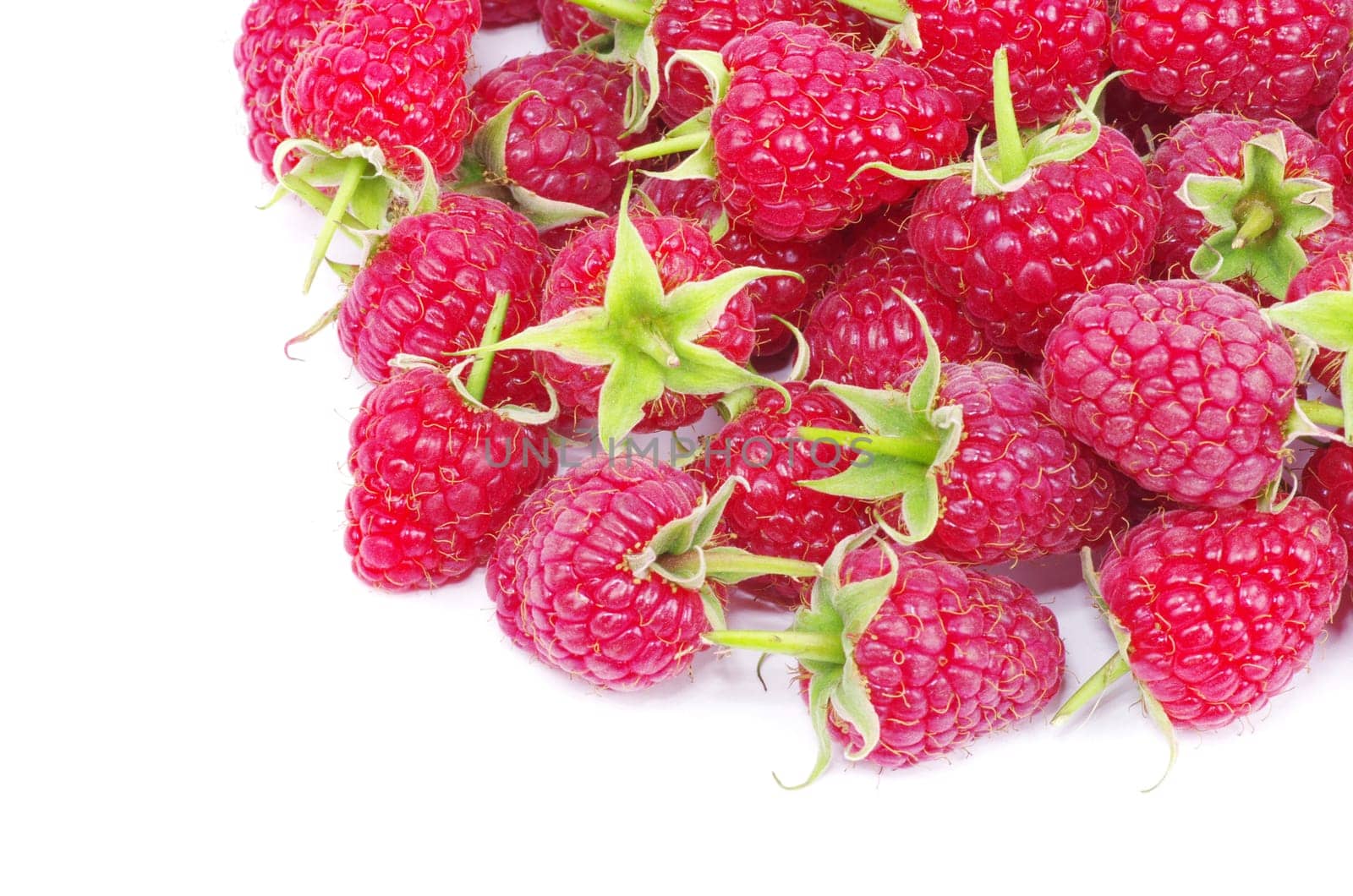 fresh raspberry closeup isolated on white background