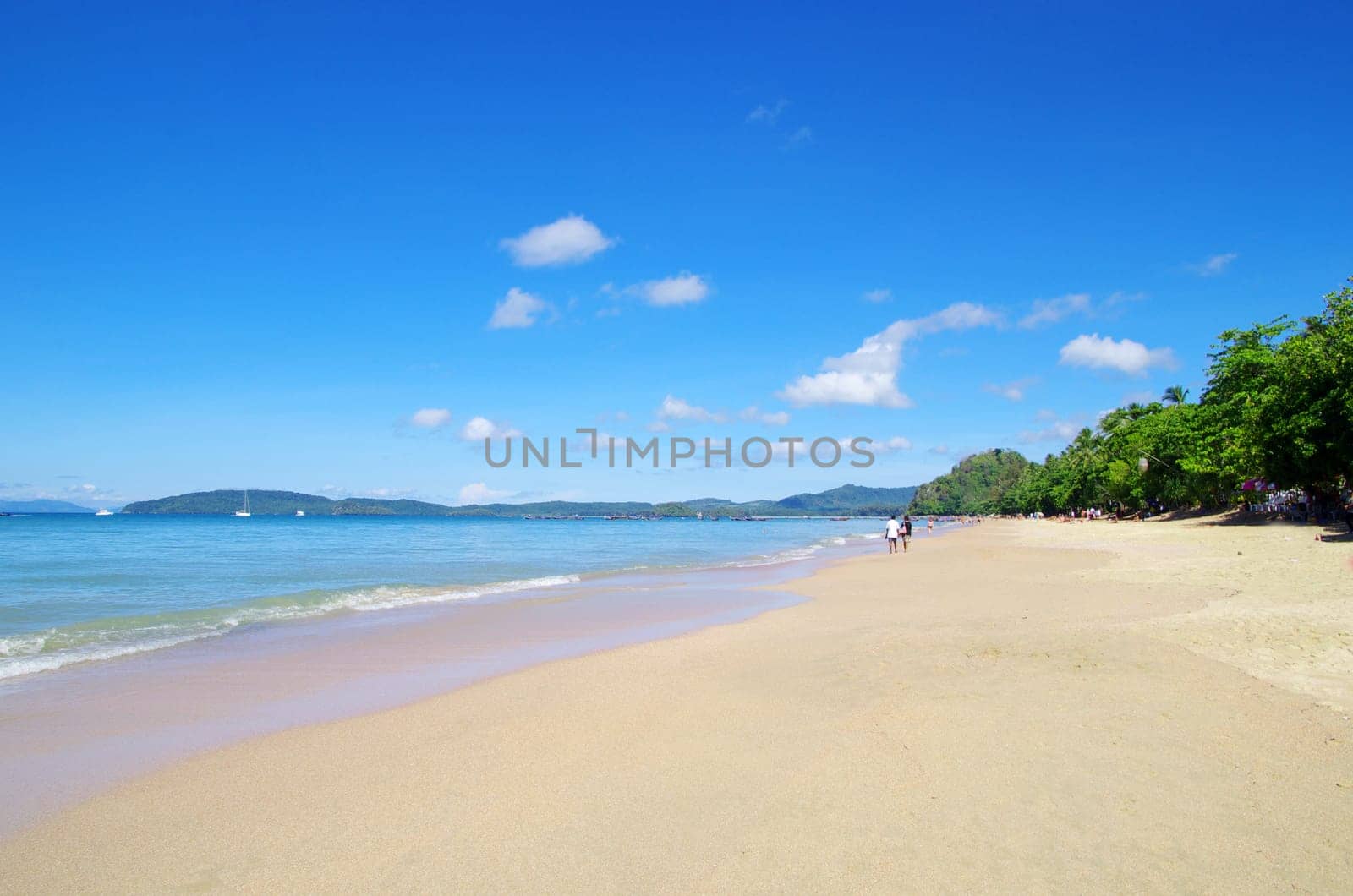 beautiful beach and tropical sea