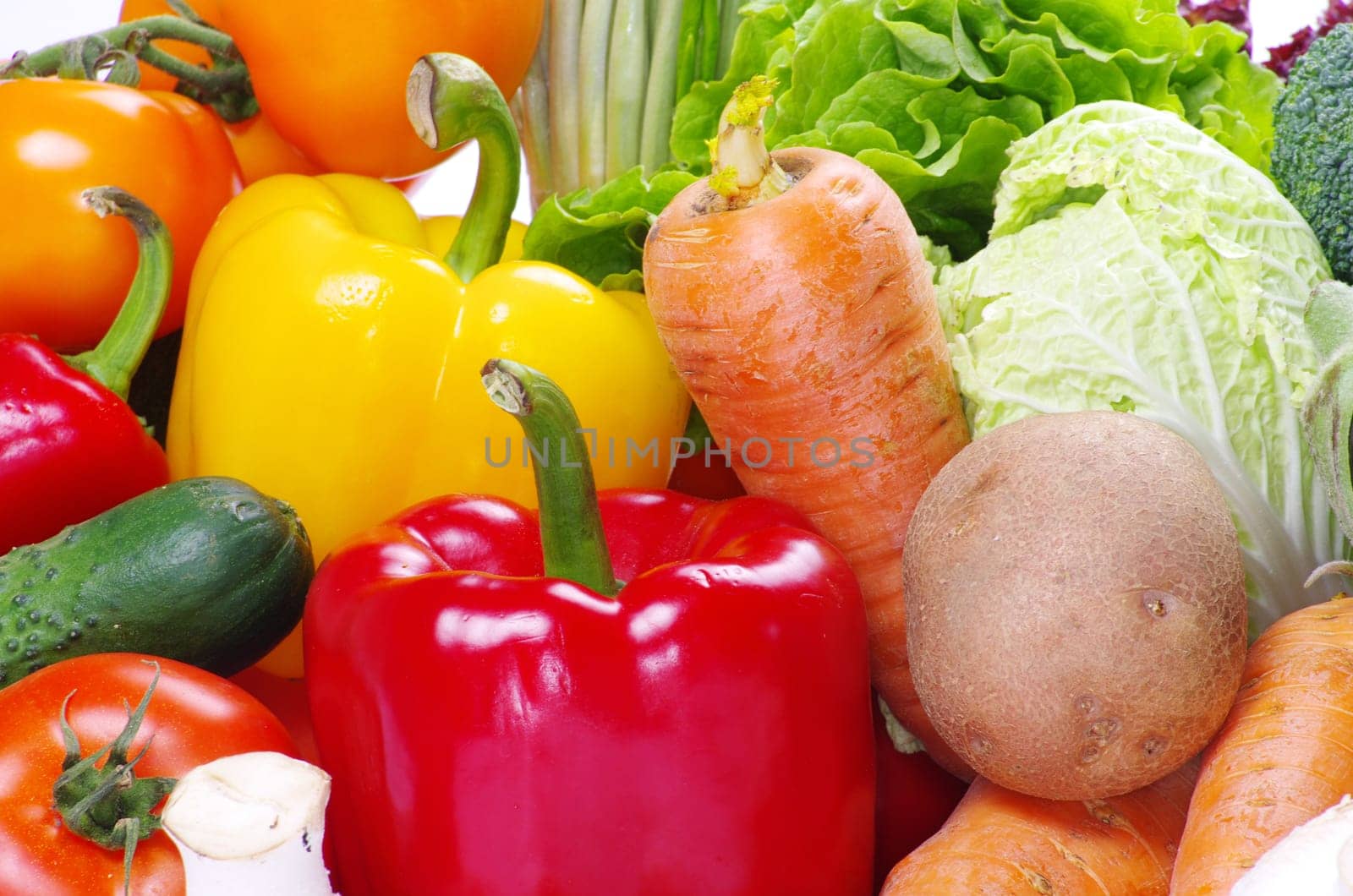 fresh vegetables on the white background