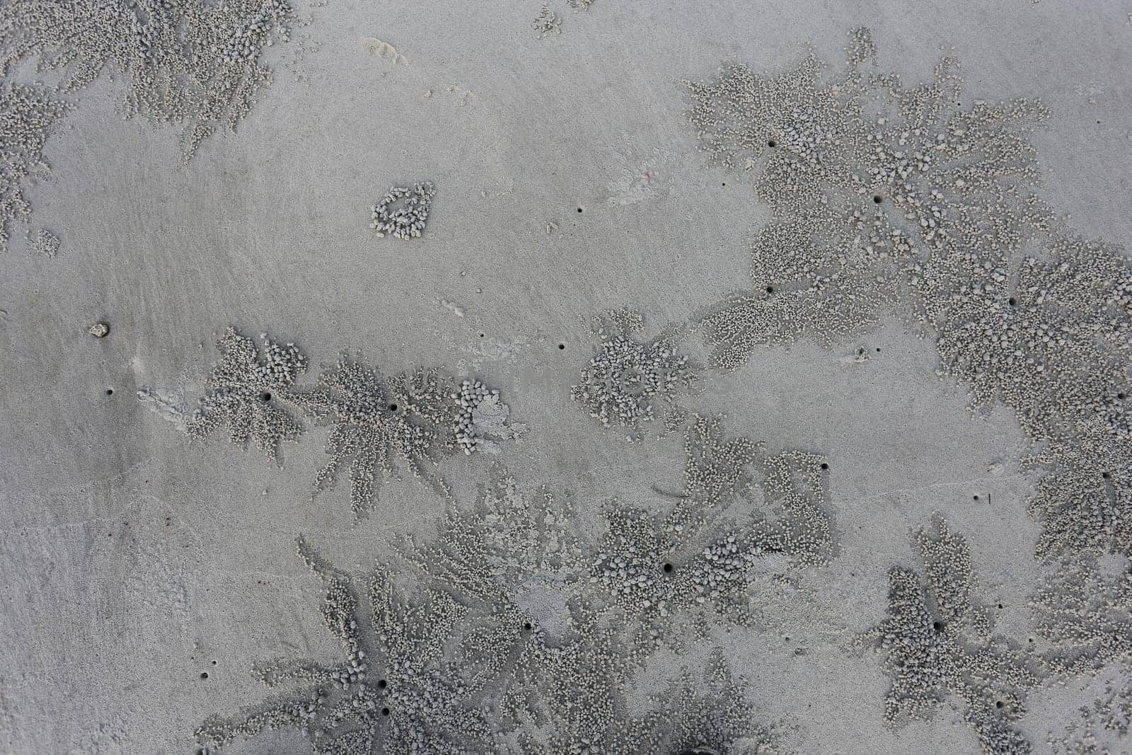 footprints in the sand