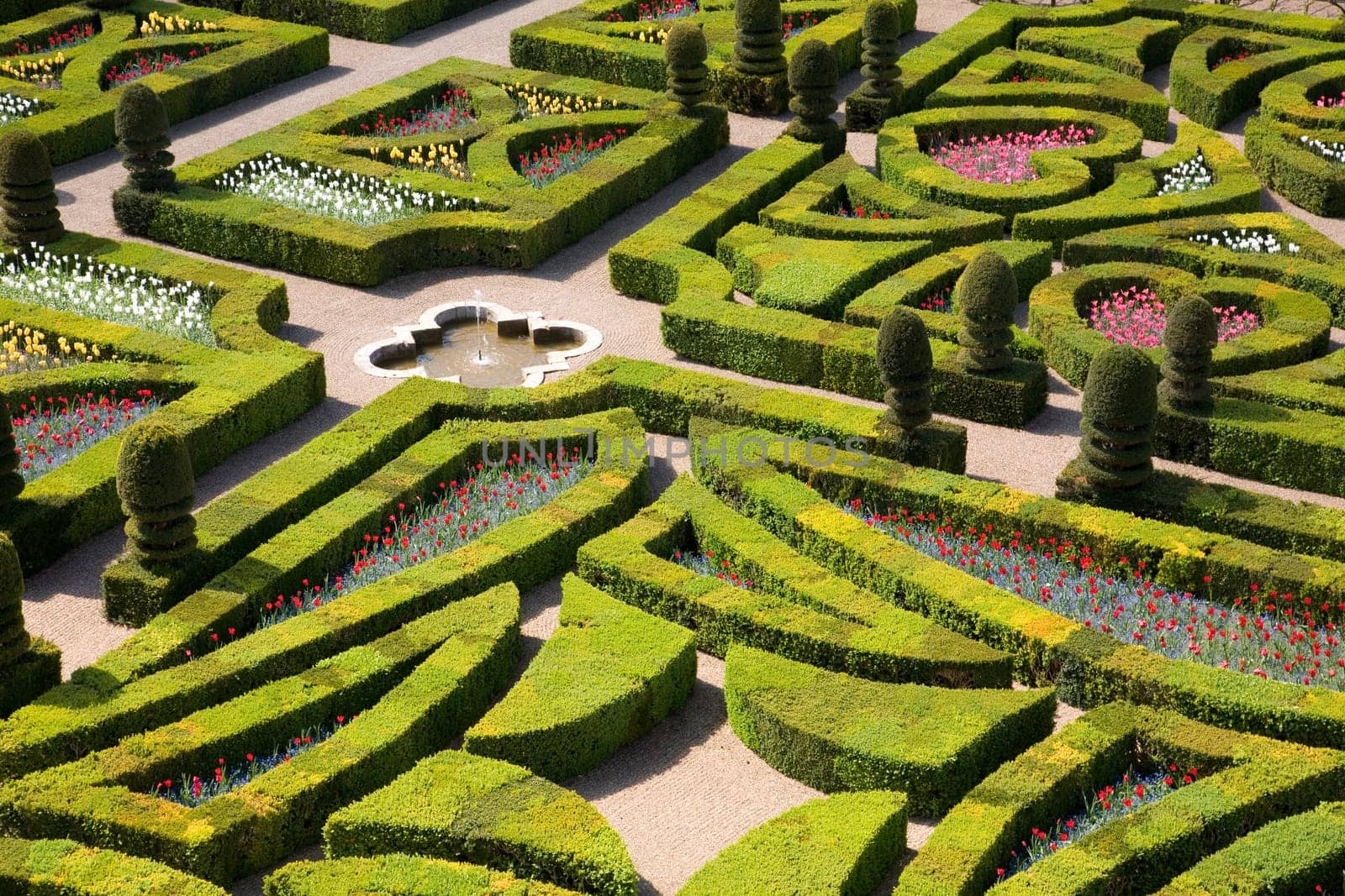 Gardens of the Chateau de Villandry, France