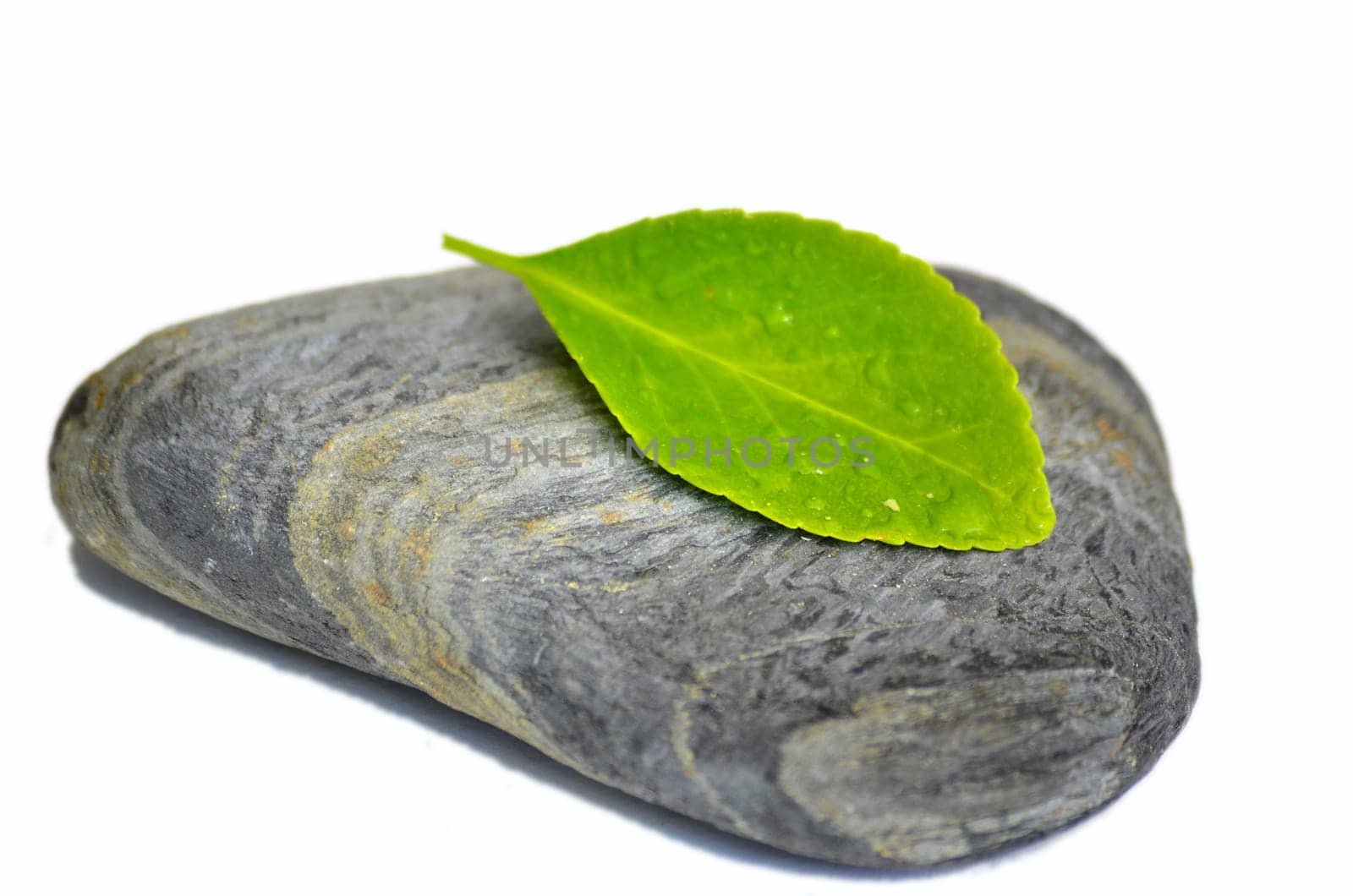 Wellness Stones Balance