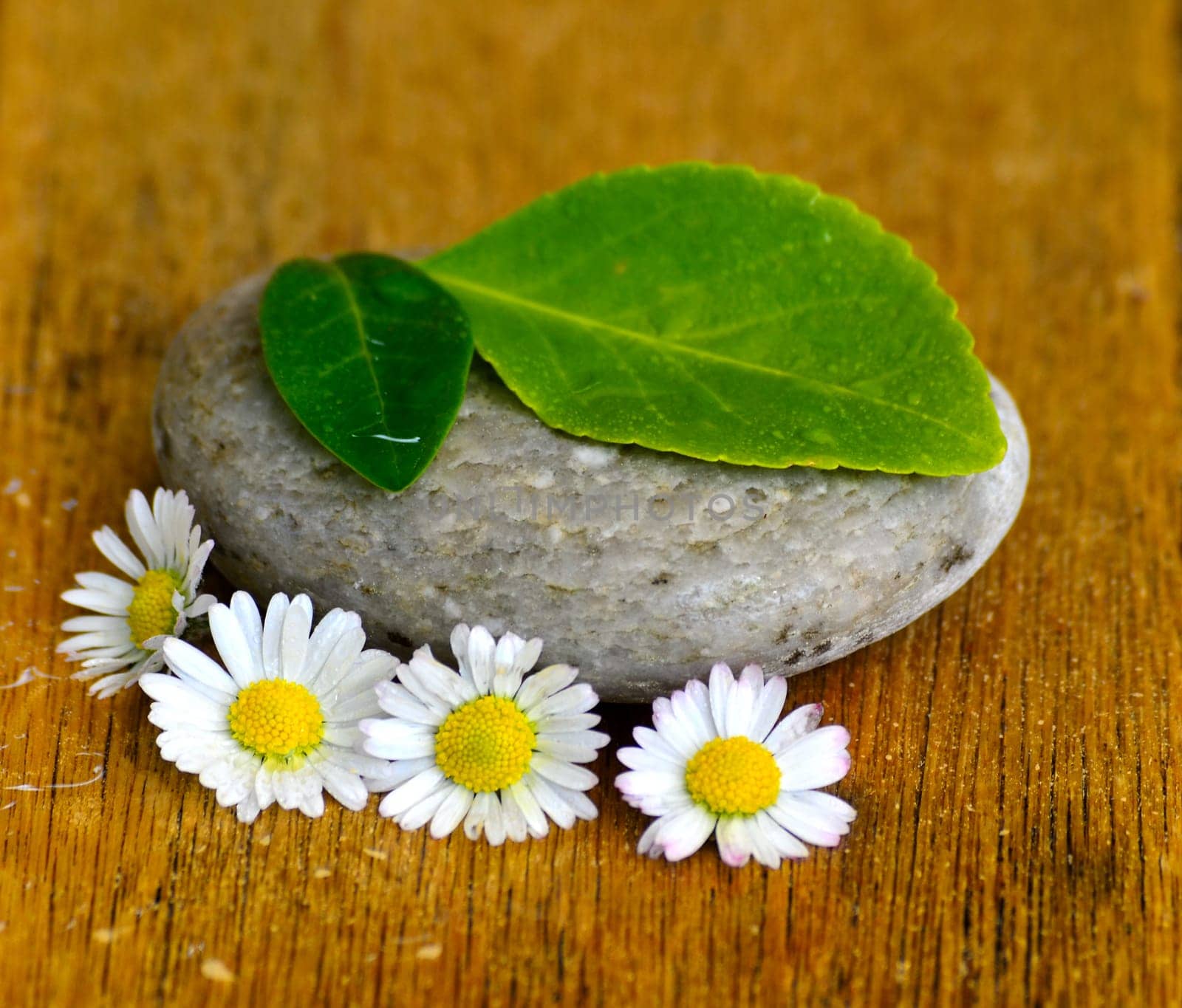 Wellness Stones Balance