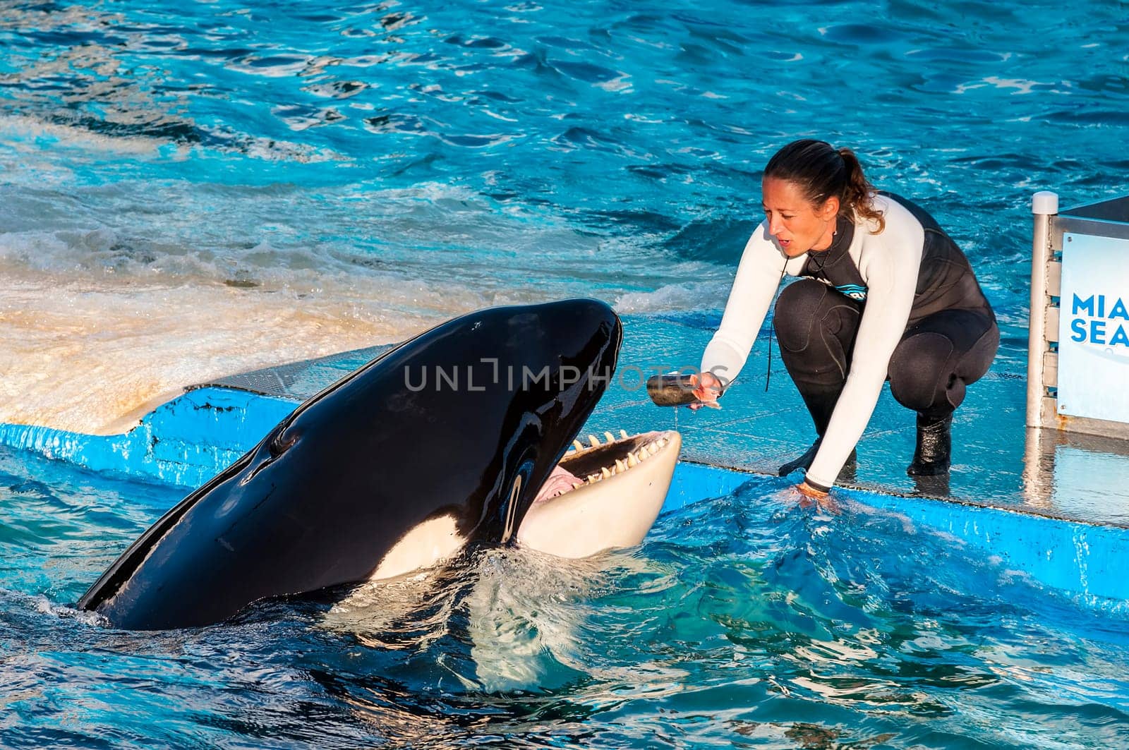 MIAMI,US - JANUARY 24,2014