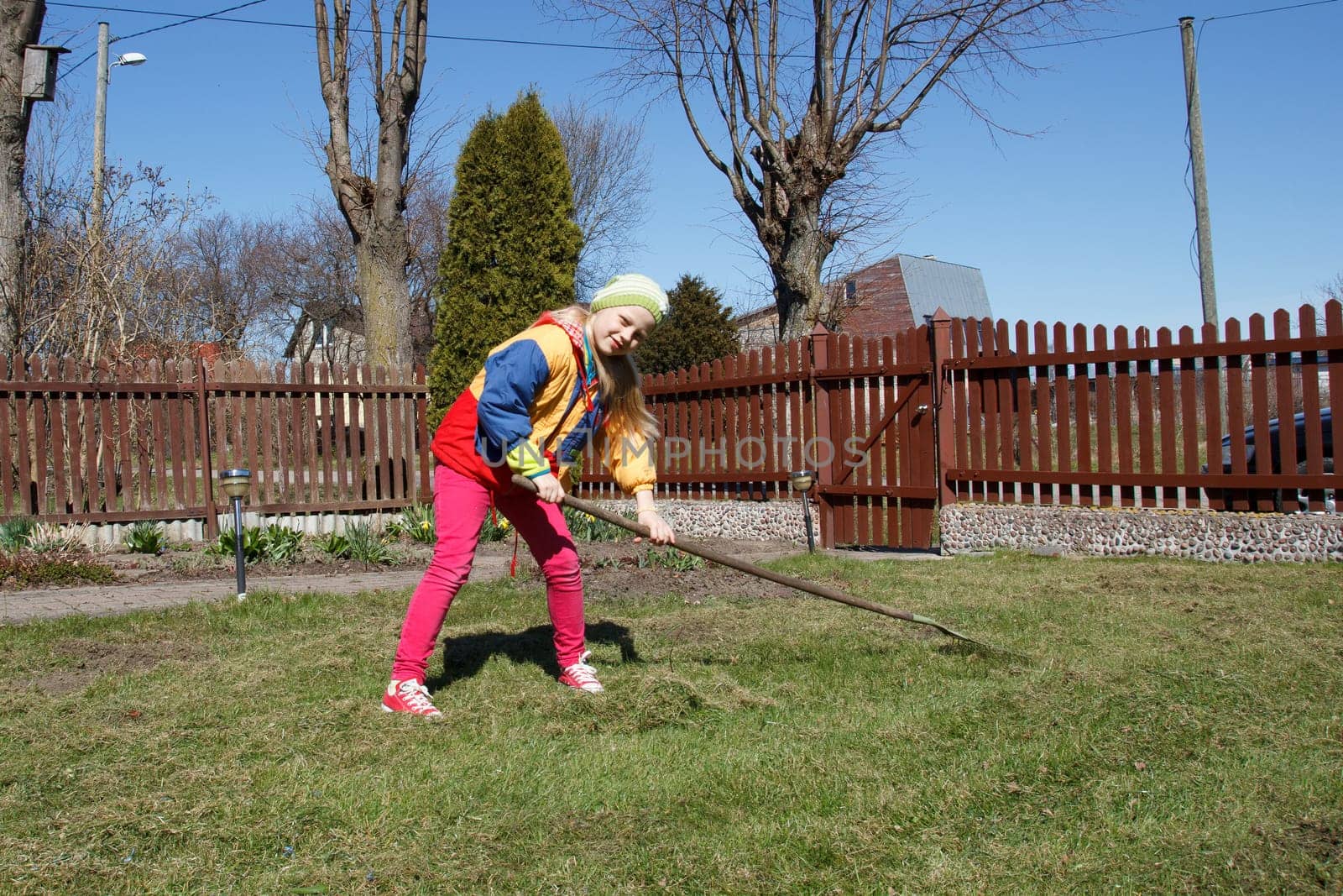 little girl working in the flower garden with rake