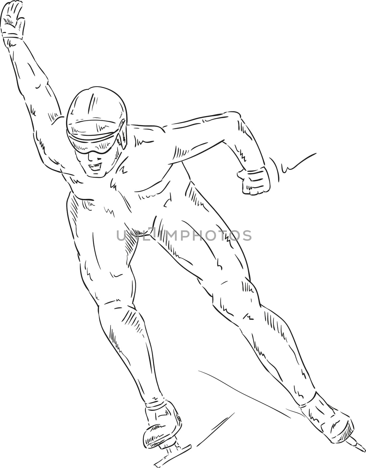 vector - speed skating - isolated on background