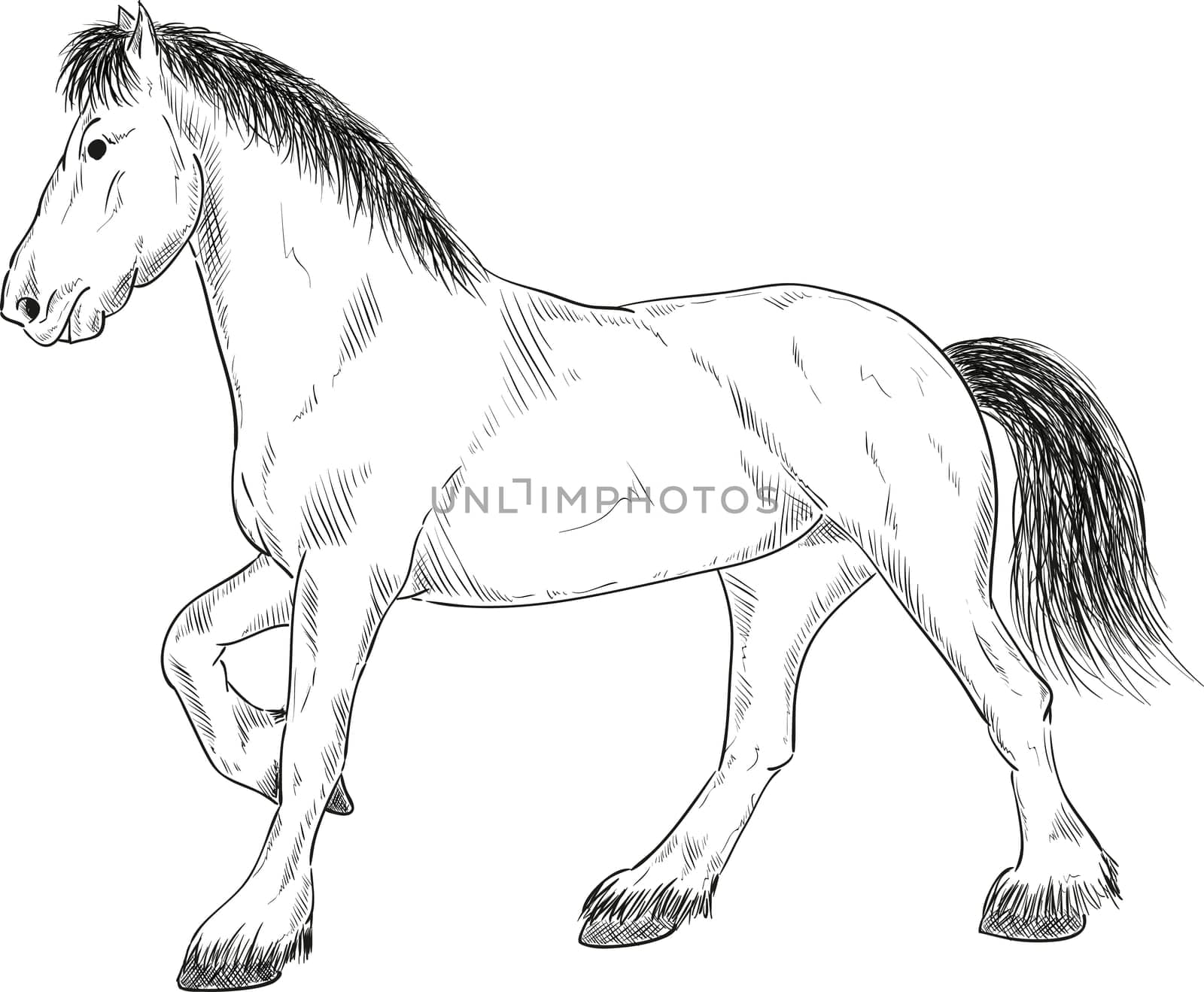 vector - horse standing - isolated on background