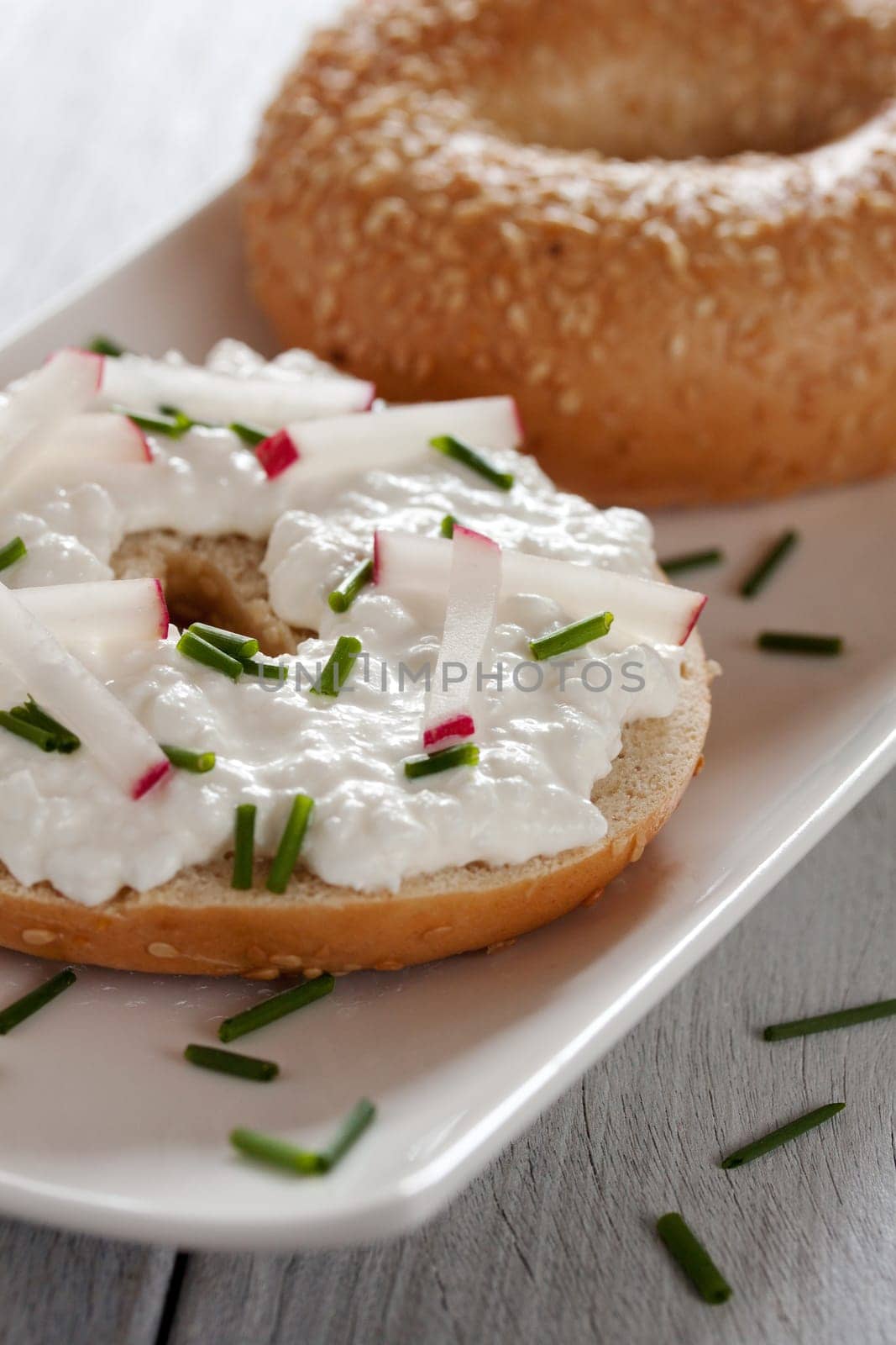 grainy fresh cheese