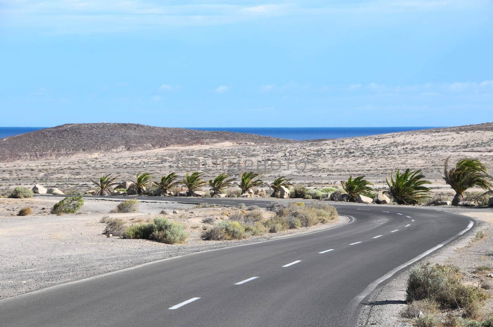 Lonely Road in the Desert Tenerife Canary Islands