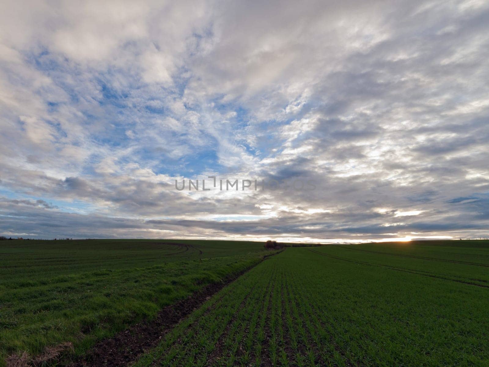 green field