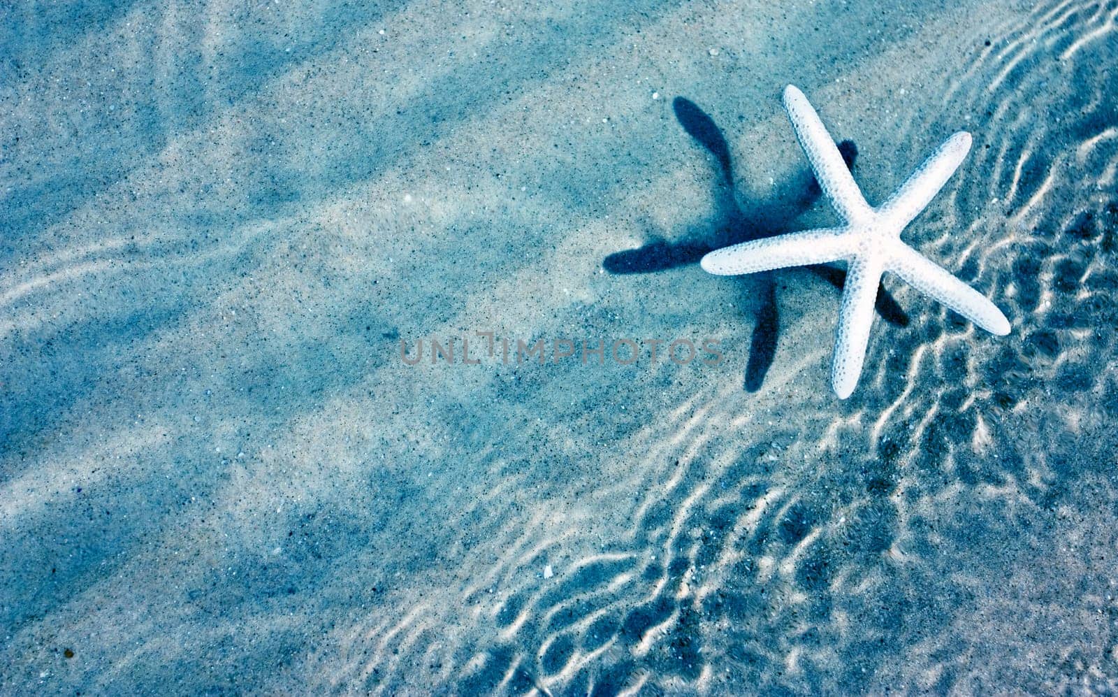 Starfish and waves on summer sunny beach