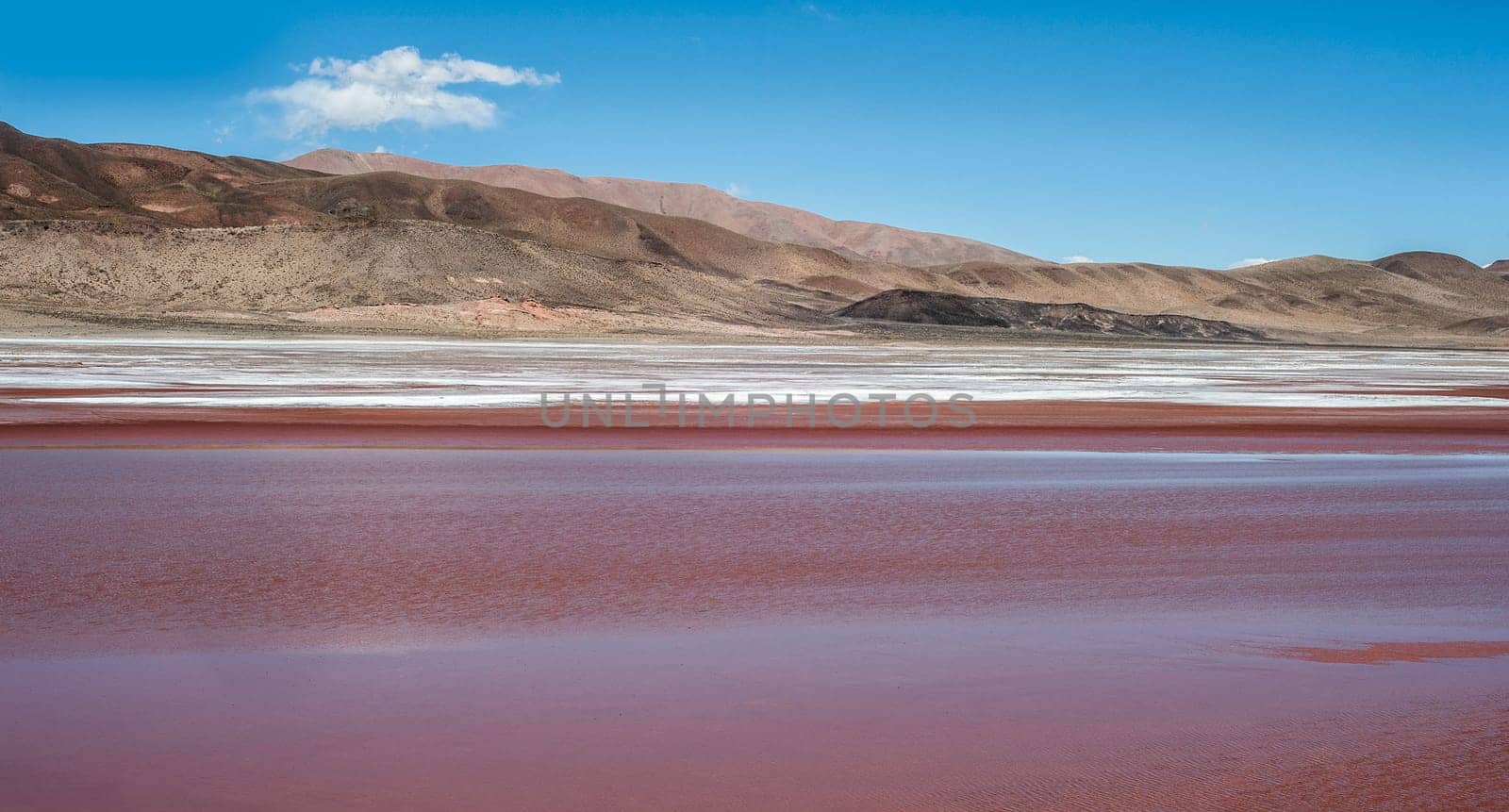 Salinas Grandes on Argentina Andes is a salt desert in the Jujuy Province..It is of industrial importance for its sodium and potassium mines. More significantly, Bolivas Salar de Uyuni is also located in the same region and is estimated to contain up to 80% of the worlds lithium deposits.