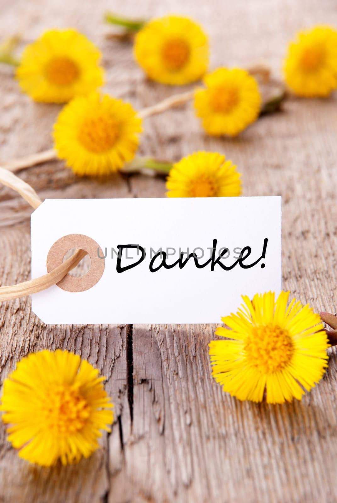 Yellow Flowers with a Banner with the german Word Danke on it which means Thanks