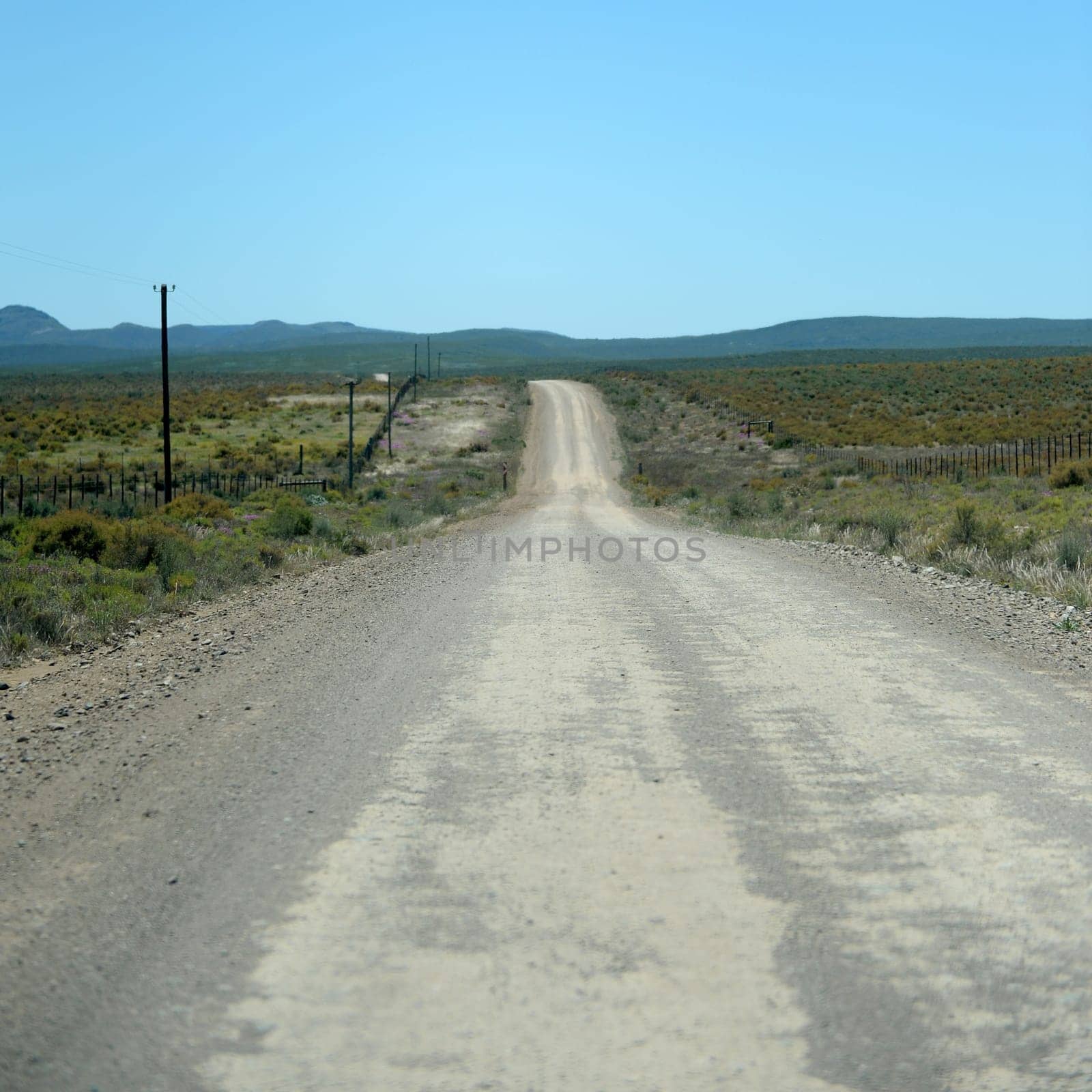 A dirt road on safari in Africa
