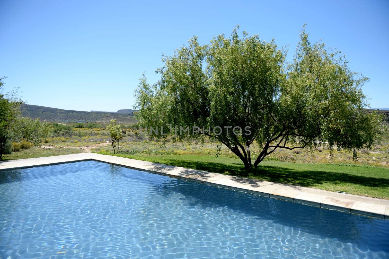 A safari lodge swimming pool in Africa
