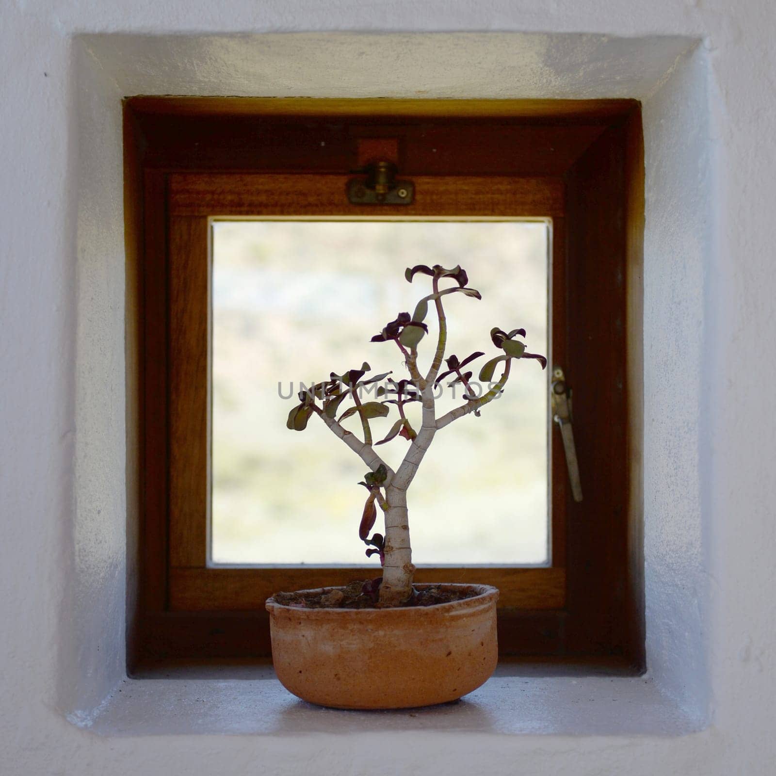 Interior shots of a small safari hut