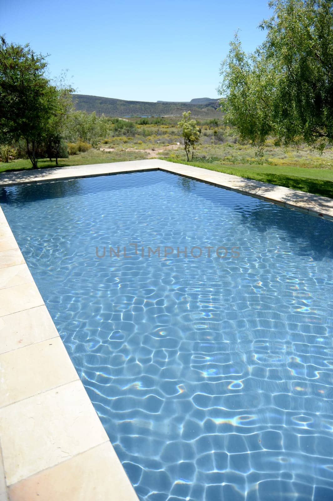 A safari lodge swimming pool in Africa