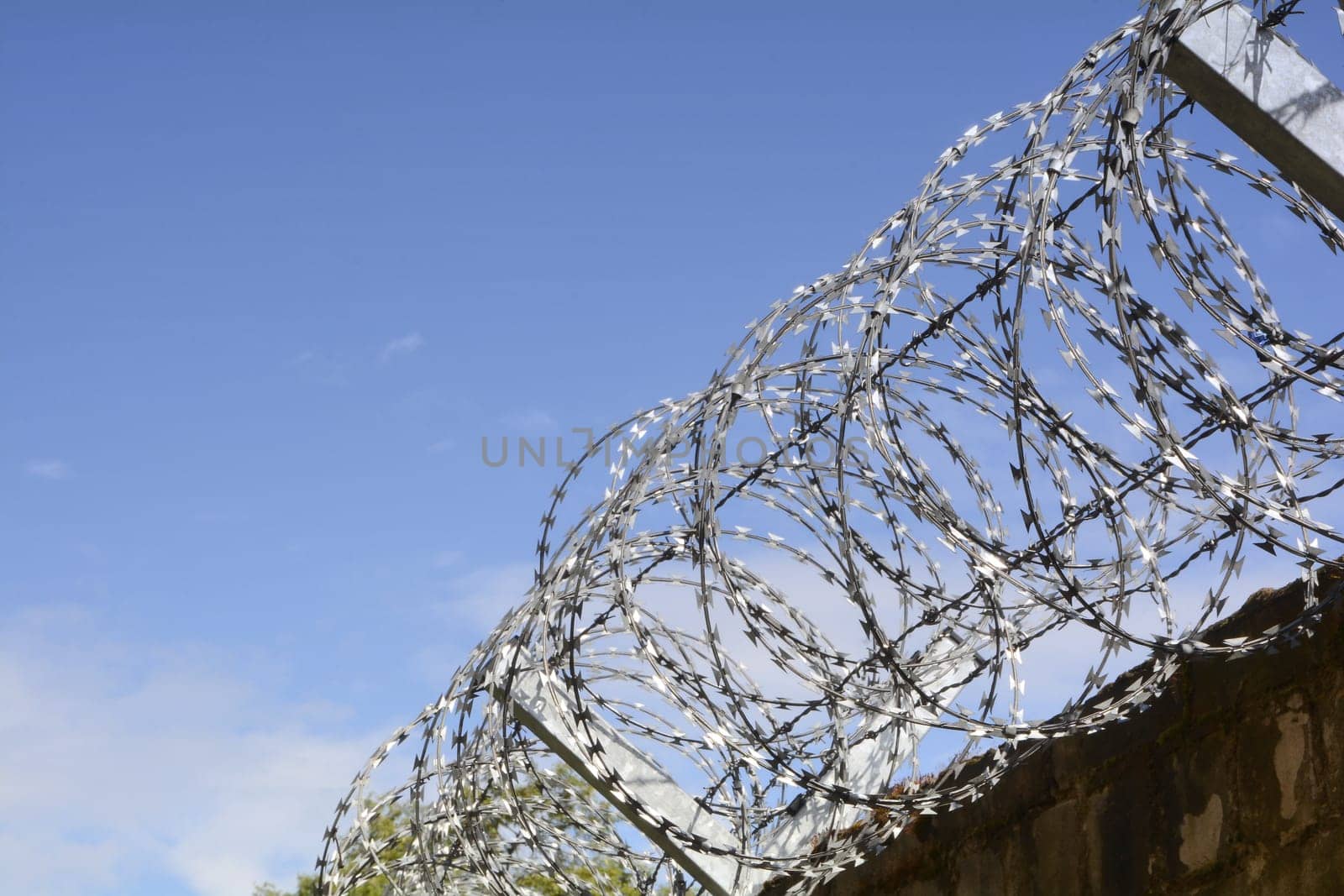 Barbed wire on a wall to protect against burglars