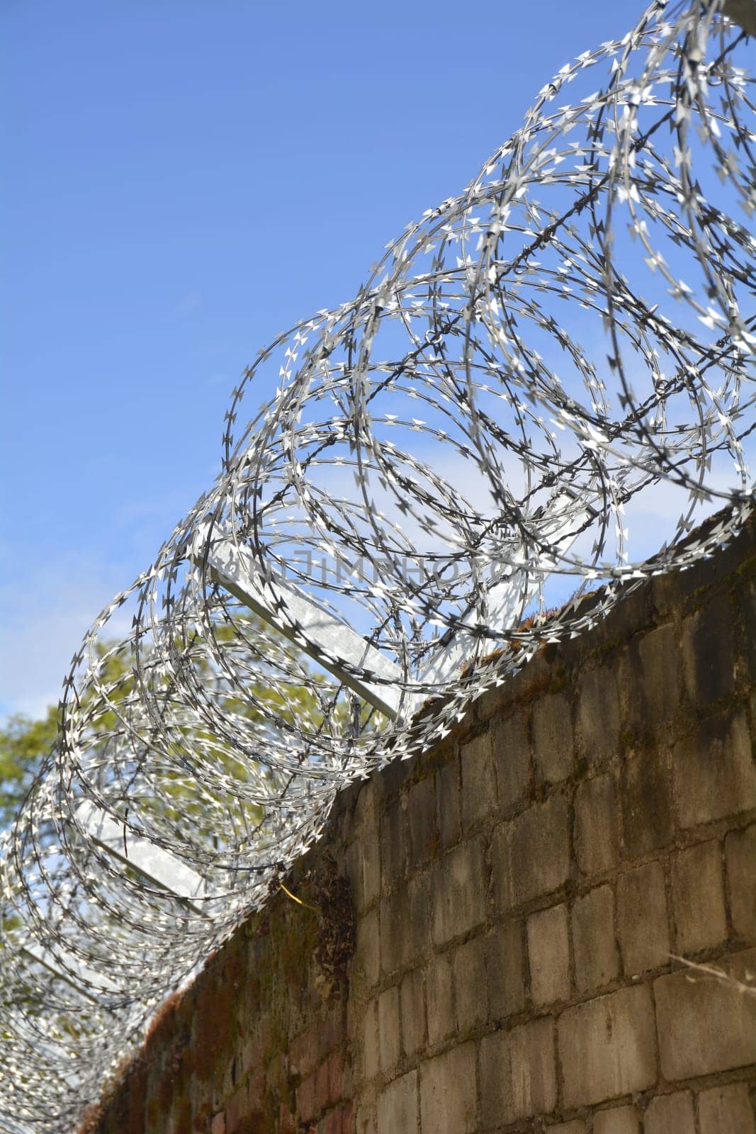 Barbed wire on a wall to protect against burglars