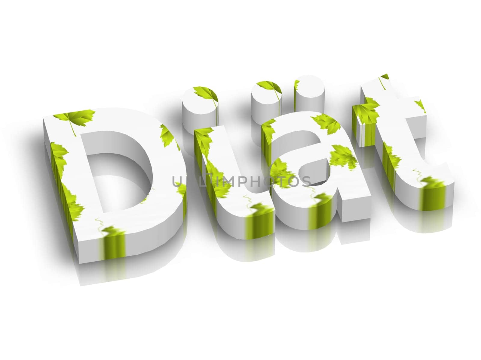 low fat /diet