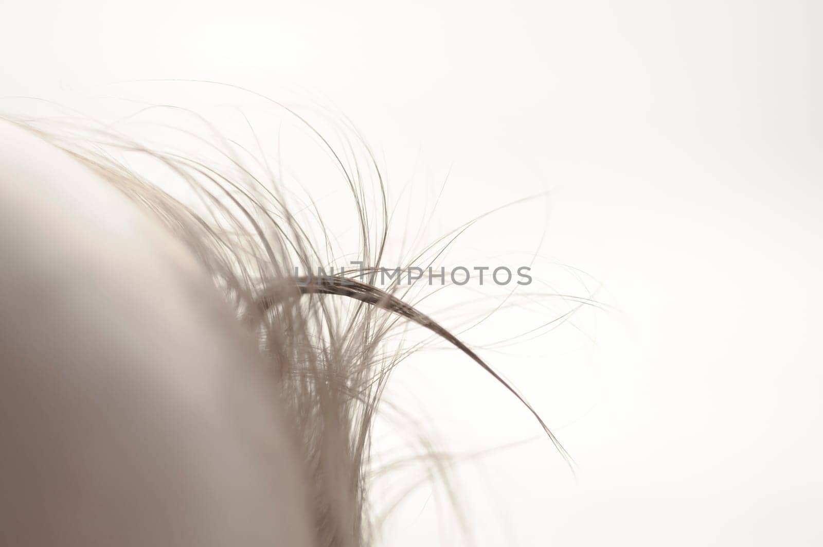 Close up of baby girls' strand of hair