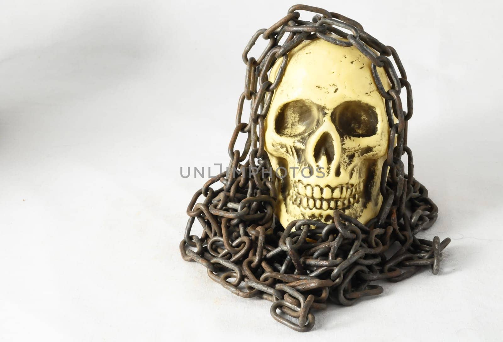 Skull and old Chains on a White Background