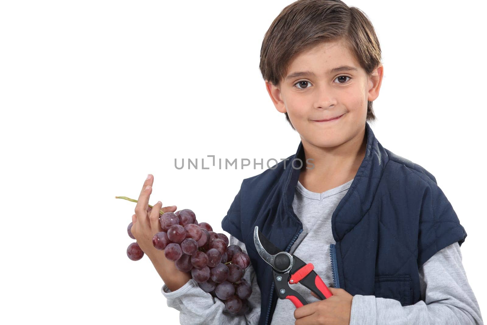 Young boy with secateurs and a bunch of grapes