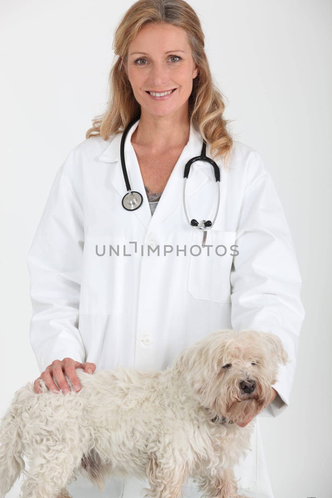 Vet and dog
