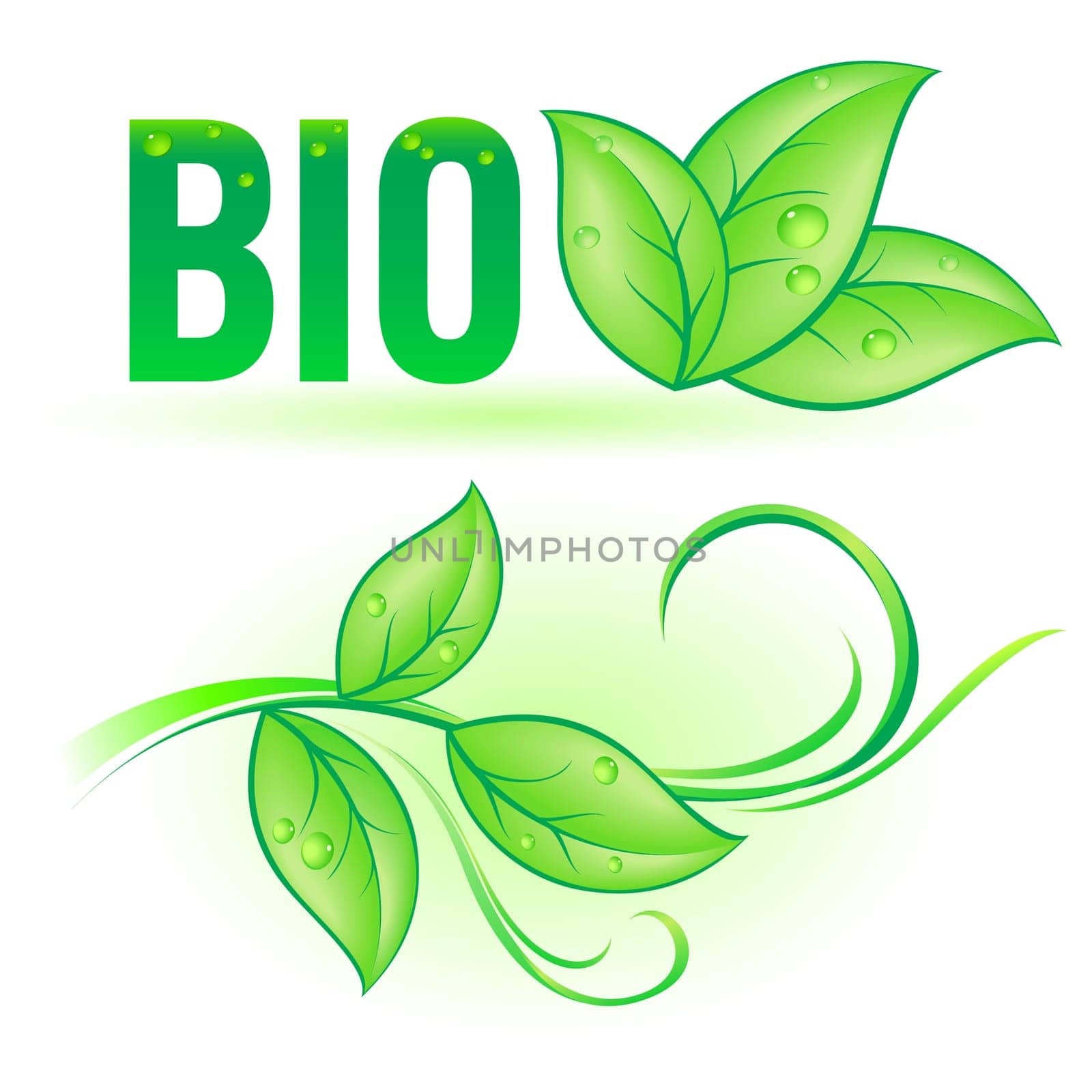 Green Bio word with leaf decorative elements on white background